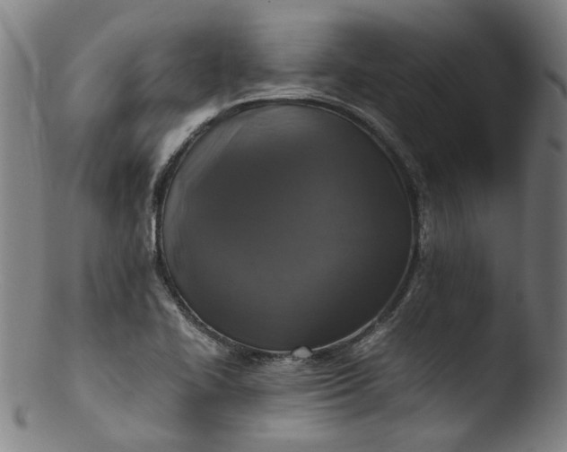 X0000103431414200809261720