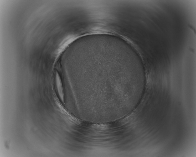 X0000103431415200809261720