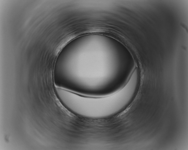 X0000103431417200809261720