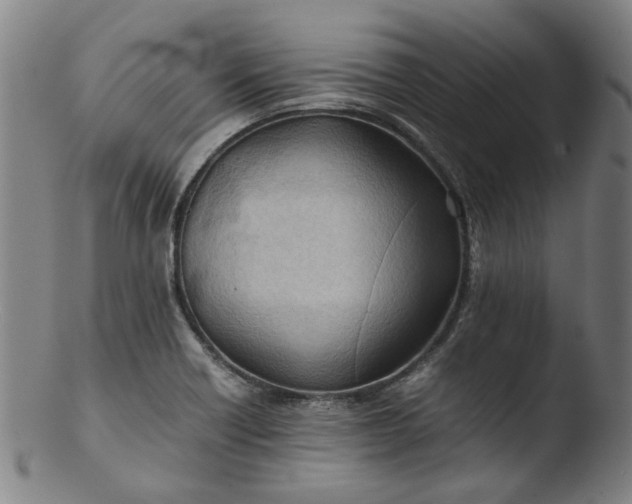 X0000103431418200809261720