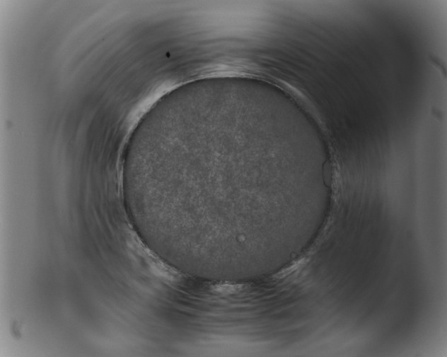 X0000103431419200809261720