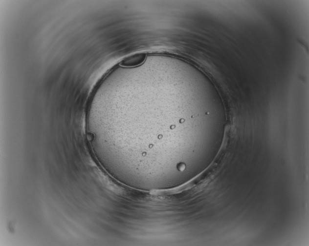 X0000103431420200809261720