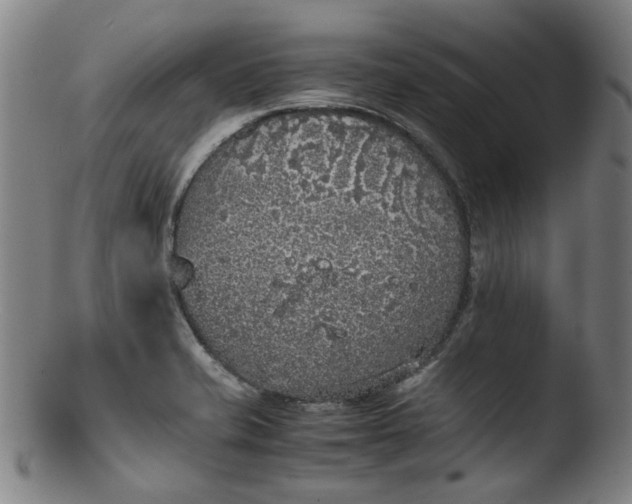 X0000103431421200809261720