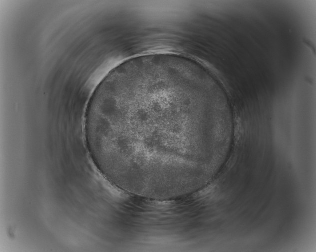 X0000103431423200809261720