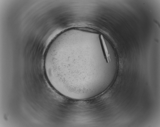 X0000103431424200809261720