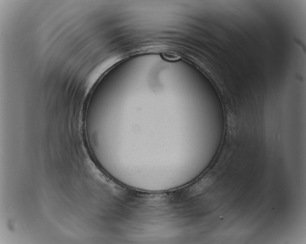 X0000103431426200809261720