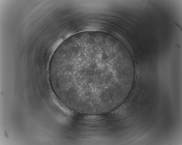 X0000103431427200809261720