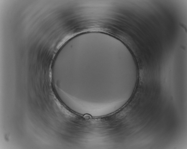 X0000103431428200809261720