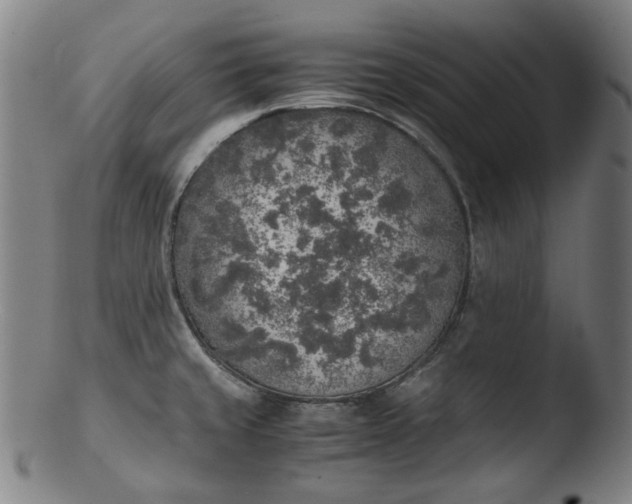 X0000103431429200809261720