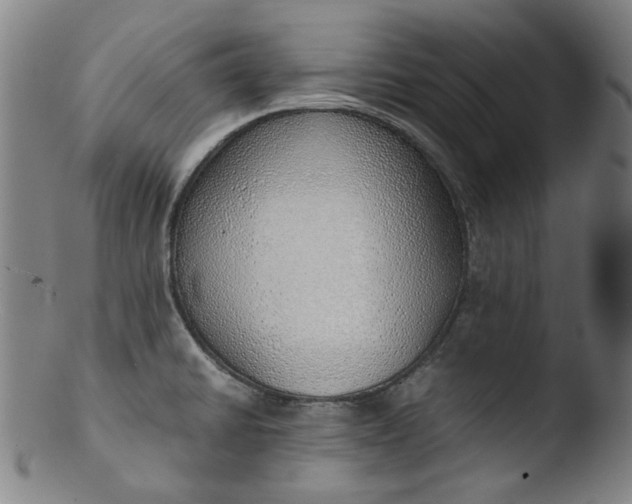 X0000103431430200809261720