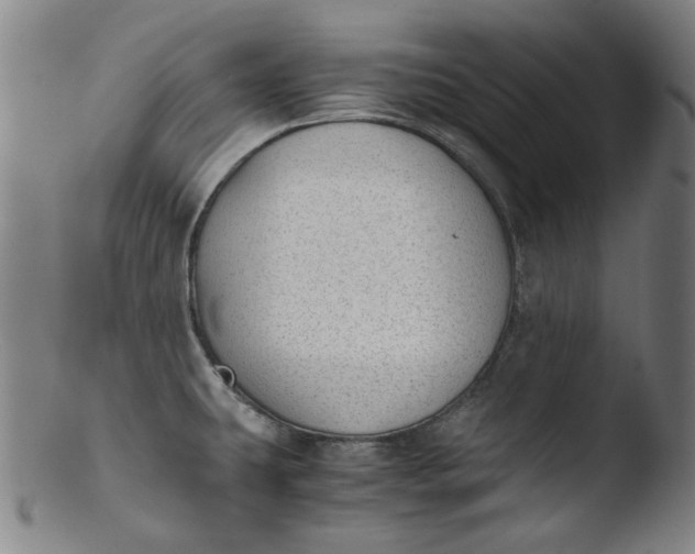 X0000103431431200809261720