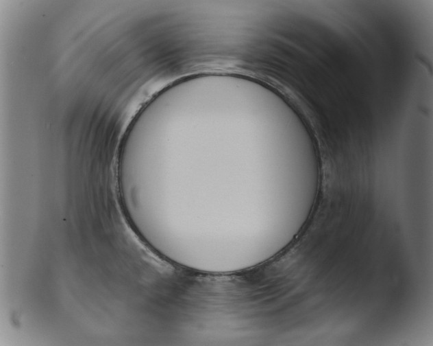 X0000103431432200809261720