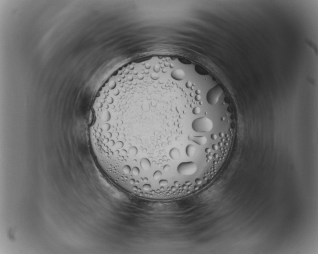 X0000103431433200809261720