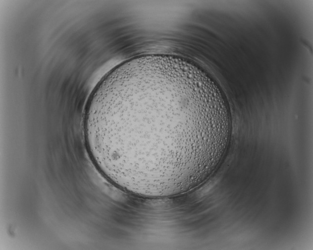 X0000103431434200809261720