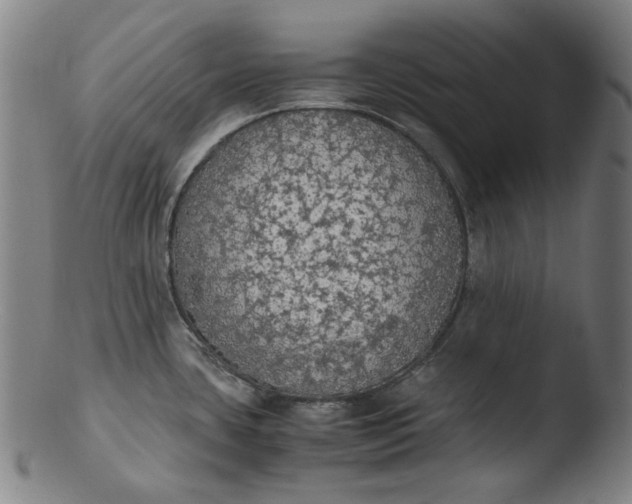 X0000103431435200809261720