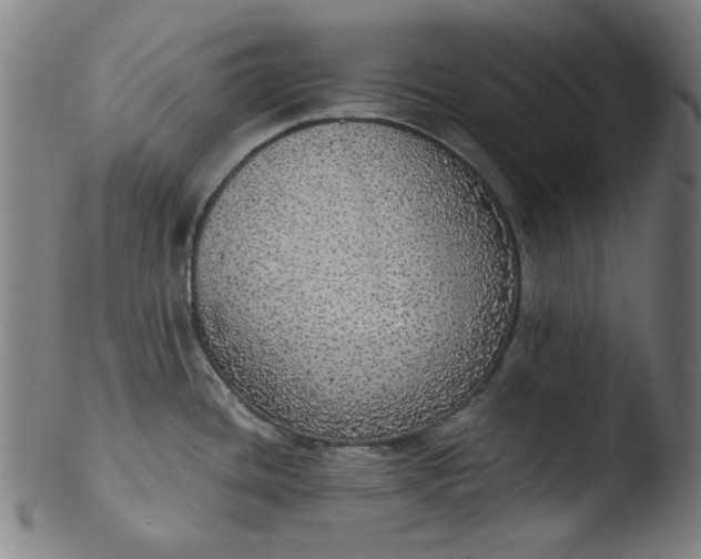 X0000103431436200809261720