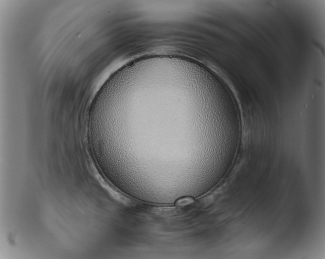 X0000103431437200809261720