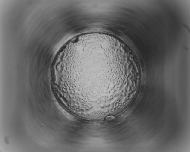 X0000103431438200809261720