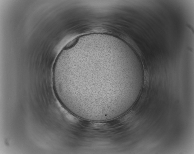 X0000103431439200809261720