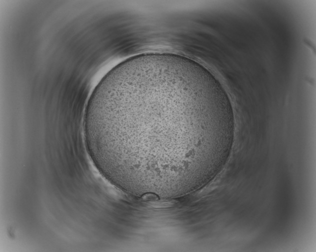 X0000103431440200809261720