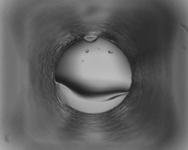 X0000103431441200809261719