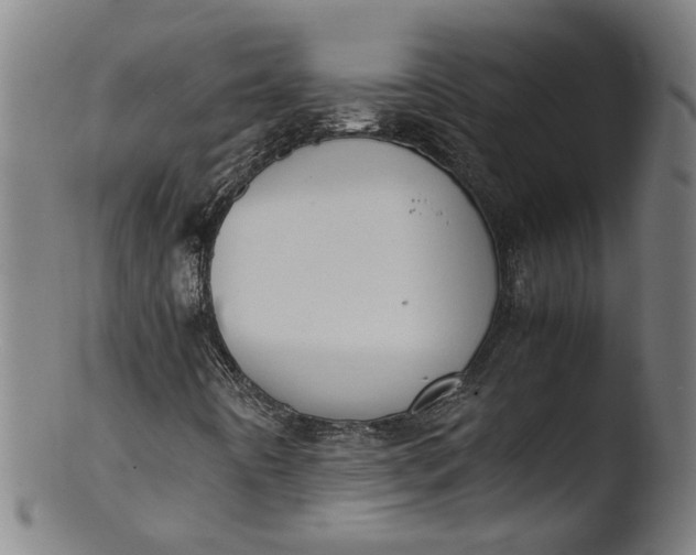 X0000103431442200809261719