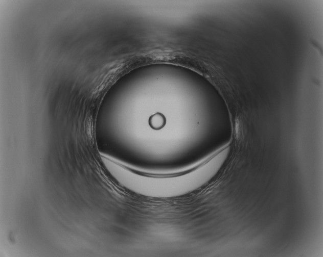 X0000103431444200809261719