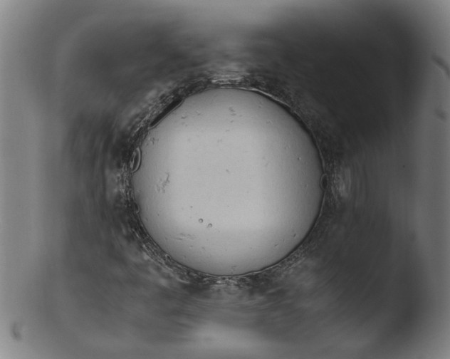 X0000103431445200809261719