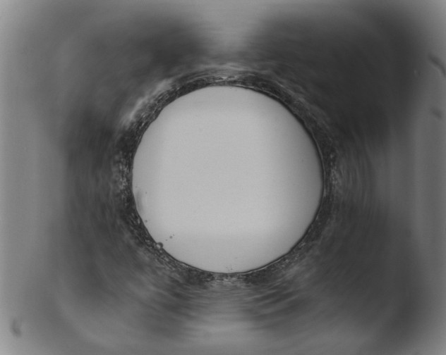 X0000103431447200809261719