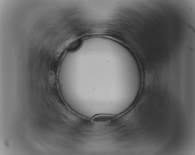 X0000103431449200809261719