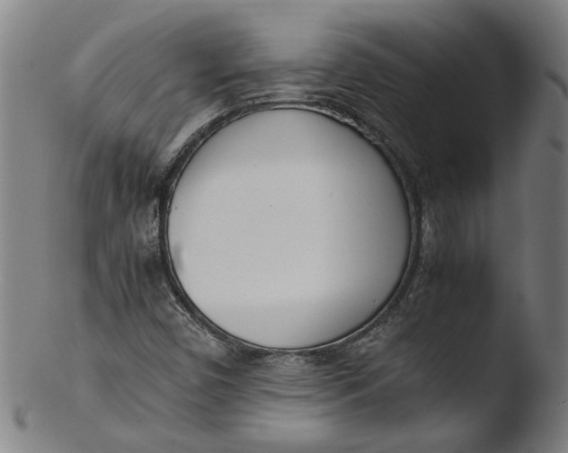 X0000103431450200809261719