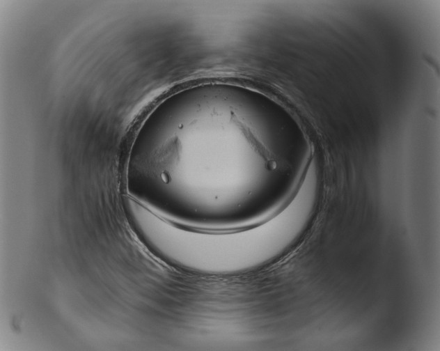 X0000103431452200809261719