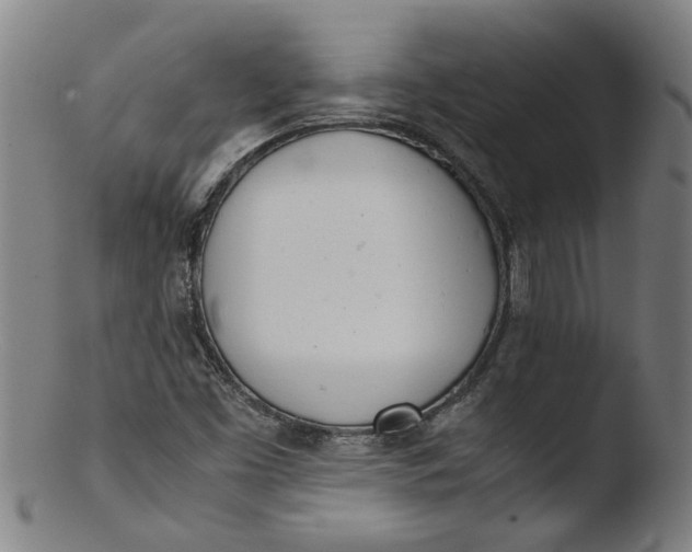 X0000103431453200809261719