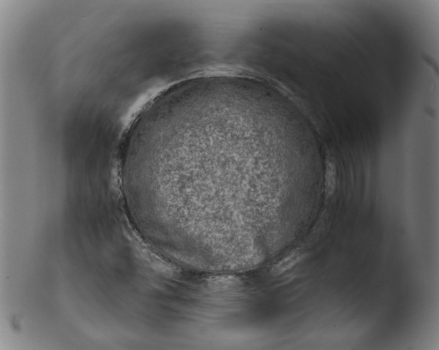 X0000103431454200809261719