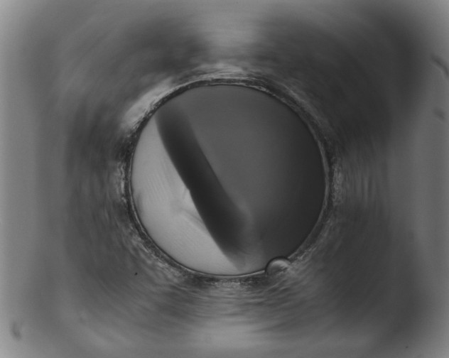 X0000103431455200809261719