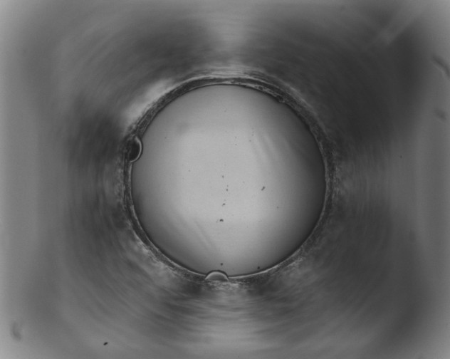 X0000103431456200809261719