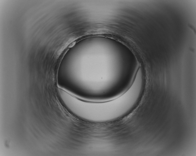 X0000103431457200809261719