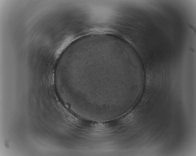 X0000103431459200809261719