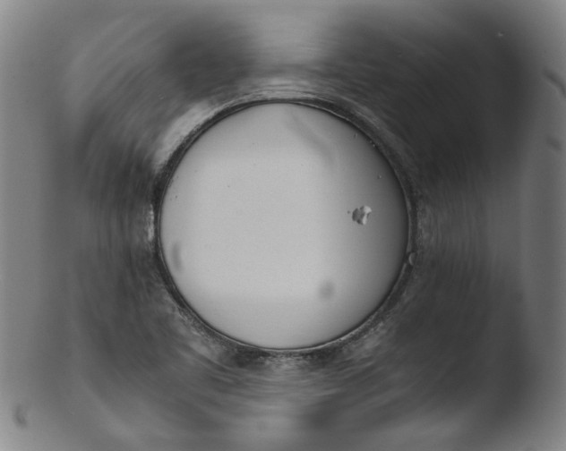 X0000103431461200809261719