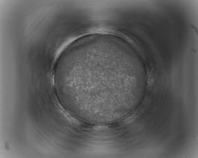 X0000103431462200809261719