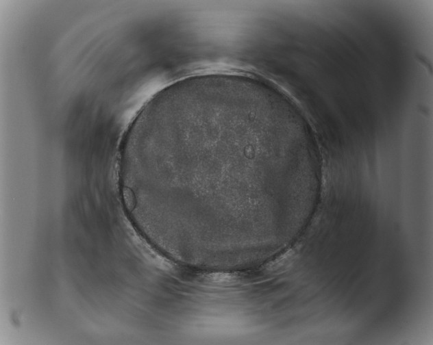 X0000103431463200809261719