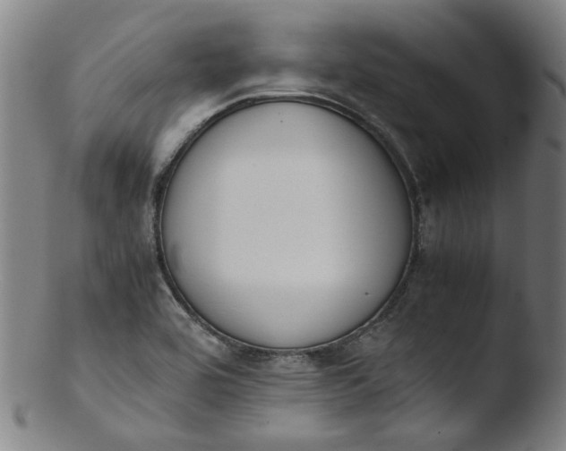 X0000103431464200809261719