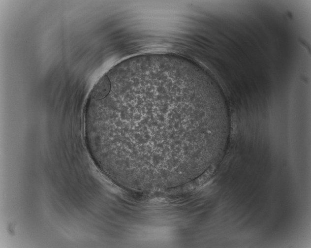 X0000103431467200809261719