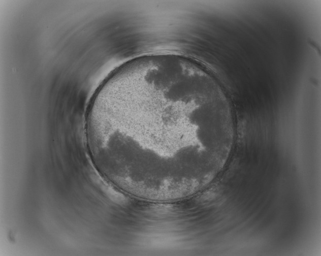 X0000103431470200809261719