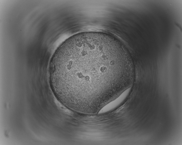 X0000103431471200809261719