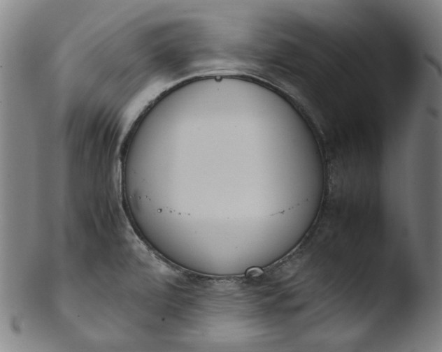 X0000103431472200809261719