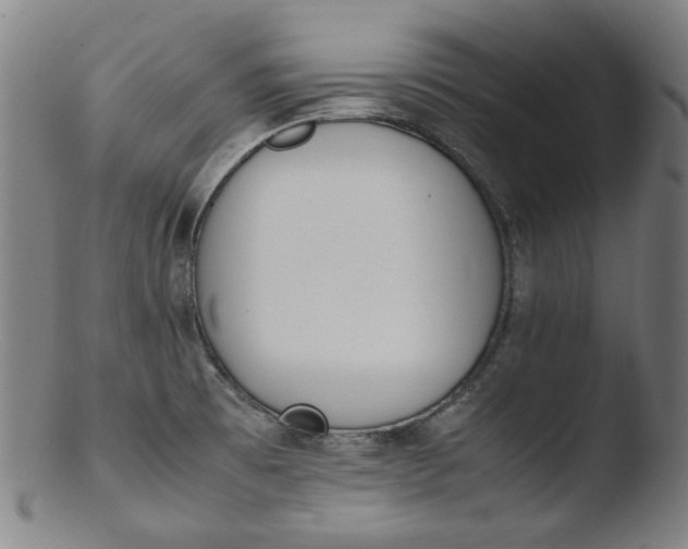 X0000103431473200809261719