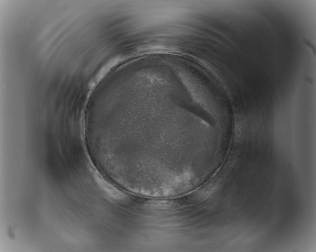 X0000103431474200809261719