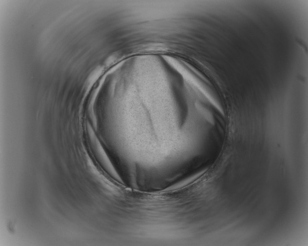 X0000103431475200809261719