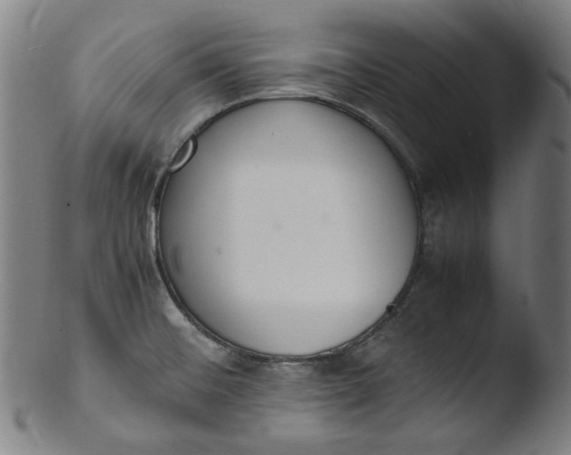 X0000103431476200809261719